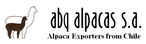 Alpacas