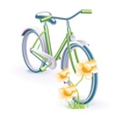 Shopping cart design for the Sunshine Coast