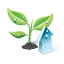 Mobile app design qld