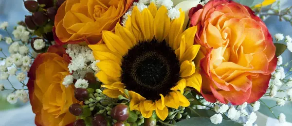 Web Design Flowerbiz Christchurch Florists New Zealand